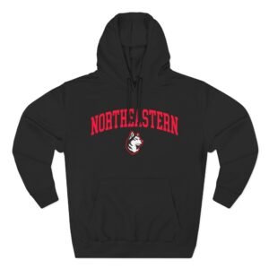 Northeastern Three-Panel Fleece Hoodie