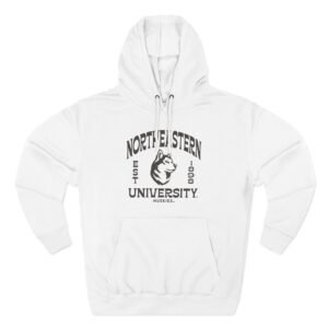 Northeastern Three-Panel Fleece Hoodie