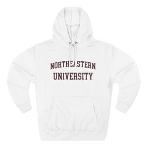 Northeastern Three-Panel Fleece Hoodie